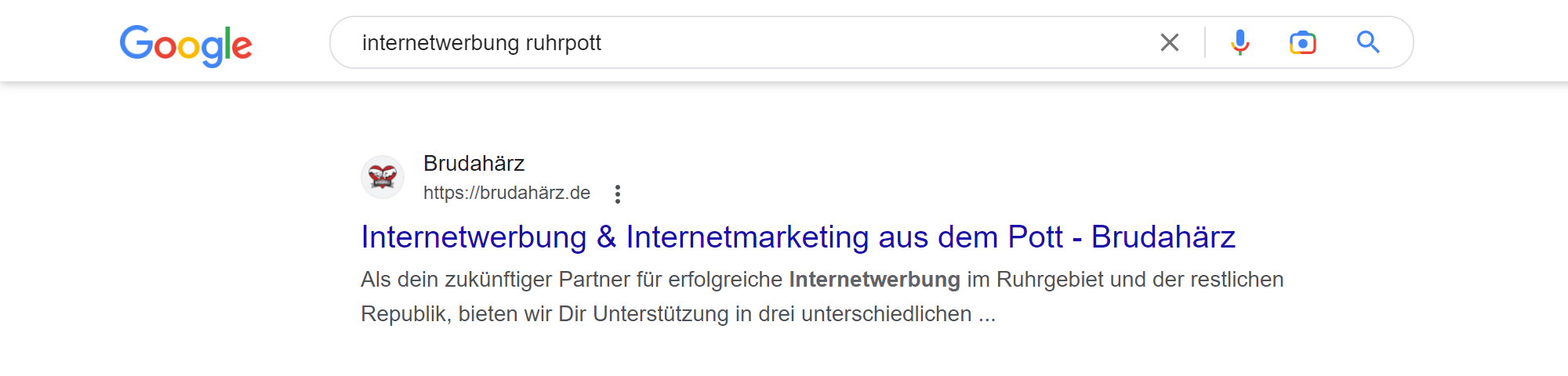 suchmaschinenoptimierung-titel-brudahärz